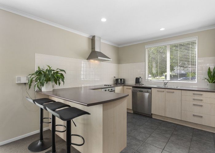  at 38 Bruce Pulman Drive, Takanini, Papakura, Auckland