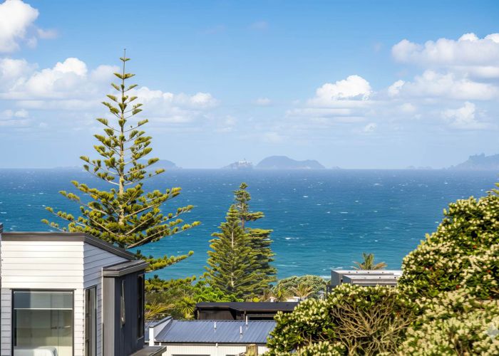  at 37 Hastings Road, Mairangi Bay, North Shore City, Auckland