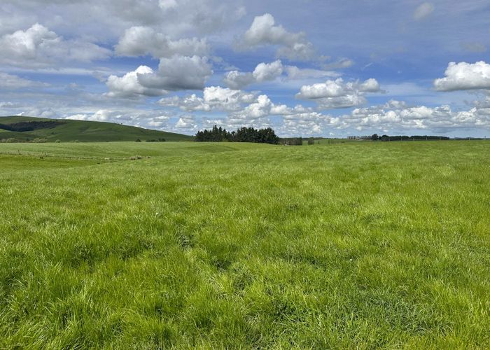  at 206 Mako Road, Hedgehope, Southland, Southland