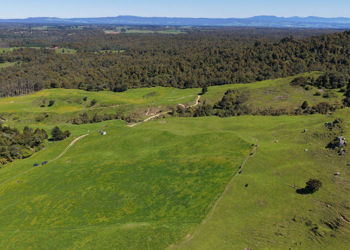  at 869 and 668 Mangatoi Road, Oropi, Western Bay Of Plenty, Bay Of Plenty