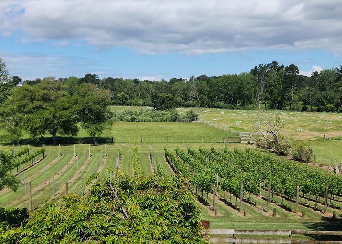  at 177 Taupaki Road, Taupaki, Rodney, Auckland
