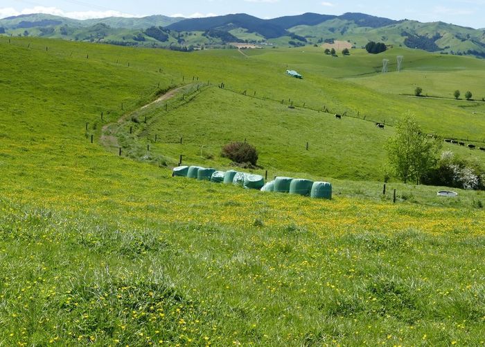  at 361 Martin Road, Waerenga