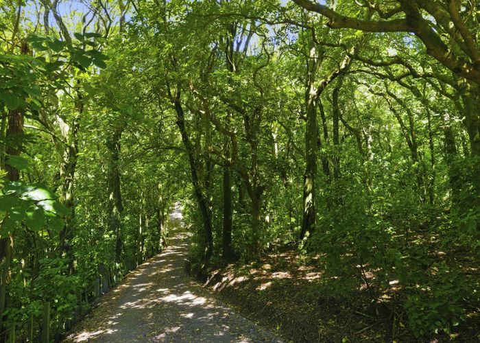  at 193 State Highway 1, Waikanae