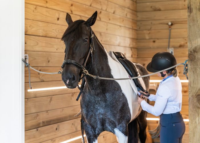  at 115 Galloway Road, Karaka, Franklin, Auckland