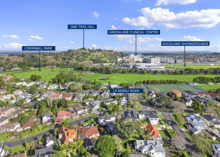  at 19 Korau Road, Greenlane, Auckland City, Auckland