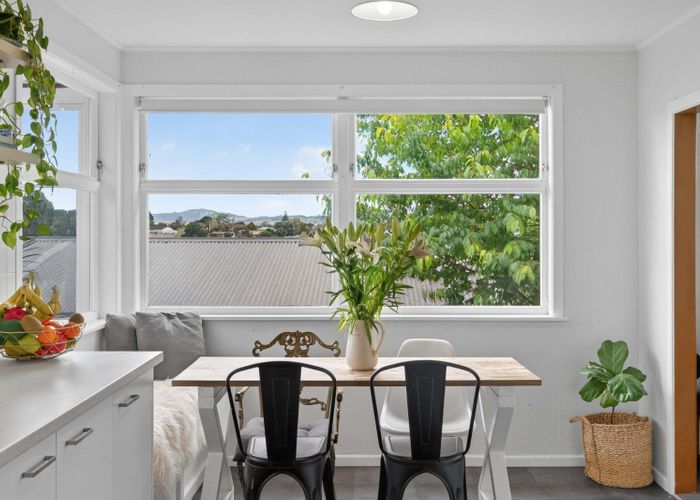  at 6 Vanda Place, Gate Pa, Tauranga, Bay Of Plenty