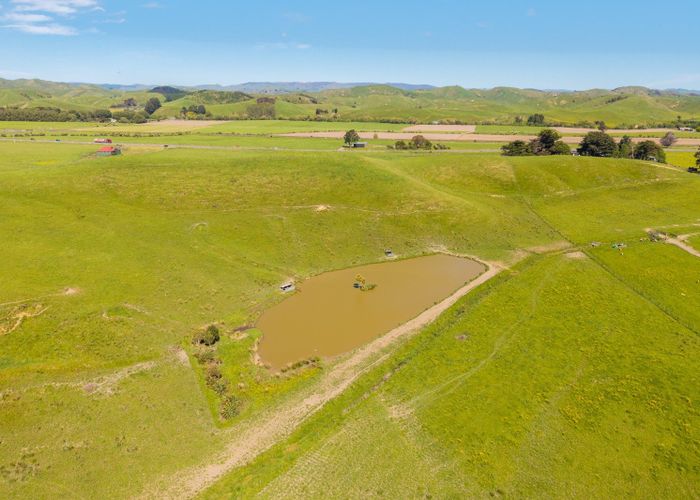  at 79816 State Highway 2, Woodville, Tararua, Manawatu / Whanganui