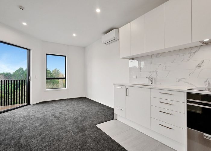  at 203/1 Oakley Avenue, Waterview, Auckland City, Auckland