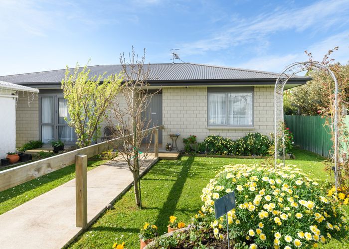  at 17 Sinclair Avenue, Highbury, Palmerston North, Manawatu / Whanganui