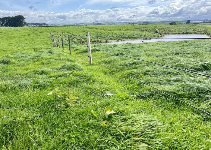  at 40 Arthur Street, Hawera, South Taranaki, Taranaki