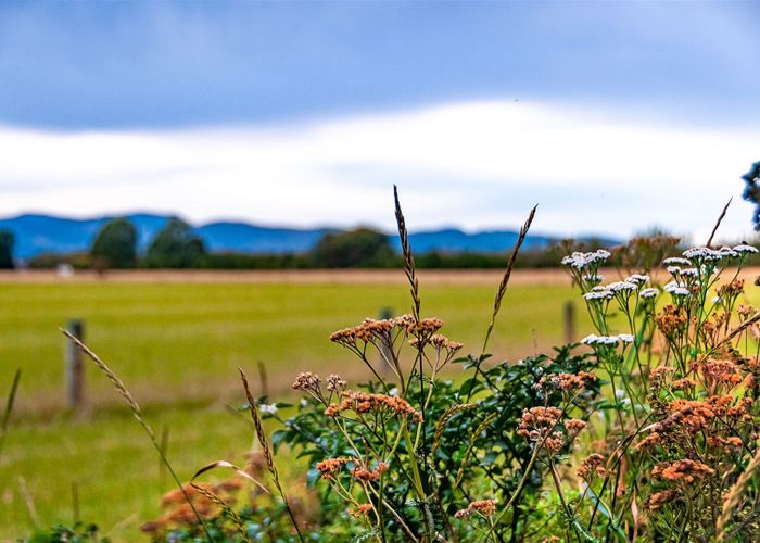  at 668 Weedons Road, Christchurch