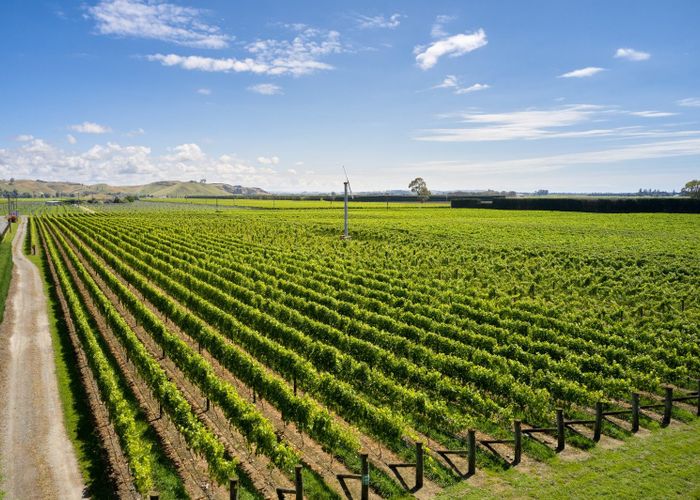  at 2006 Maraekakaho Road, Raukawa, Hastings, Hawke's Bay