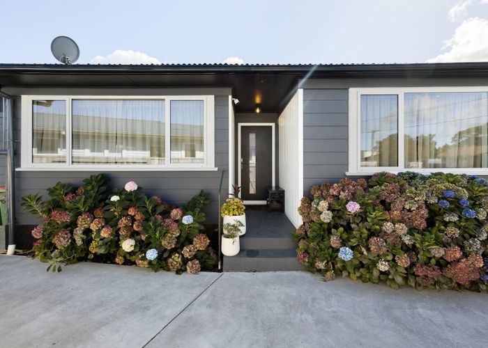  at 67 Mears Road, St Andrews, Hamilton