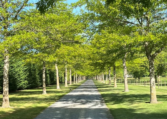  at 198 Whites Road, Ohoka, Kaiapoi