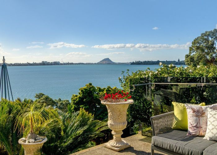  at 348 Maungatapu Road, Maungatapu, Tauranga, Bay Of Plenty