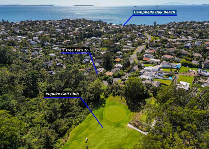  at 3 Tree Fern Trail, Campbells Bay, Auckland