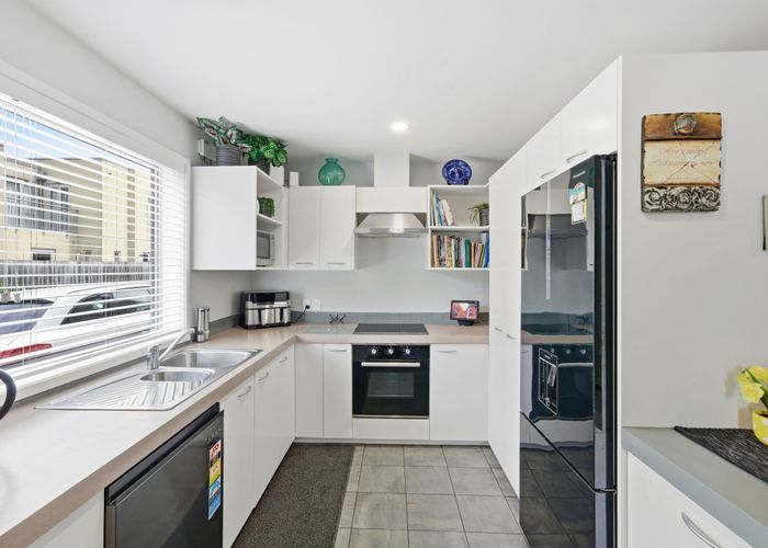  at 19 Whiteleigh Avenue, Addington, Christchurch City, Canterbury