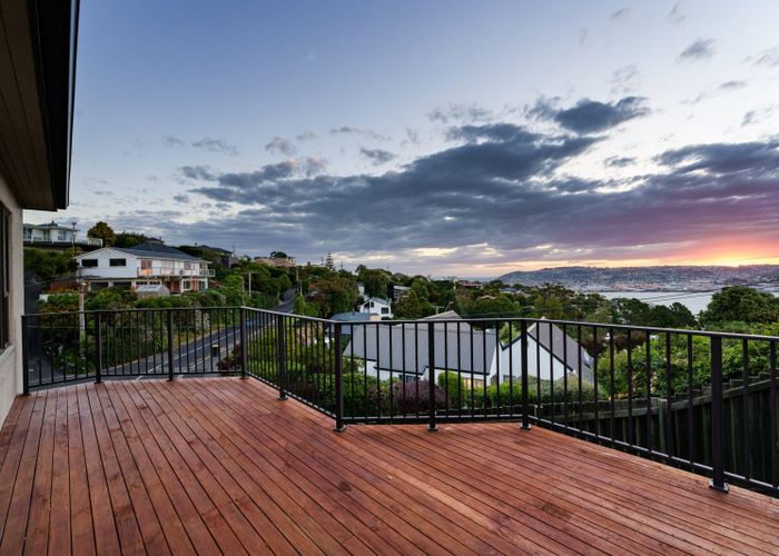  at 41 Shandon Road, Vauxhall, Dunedin