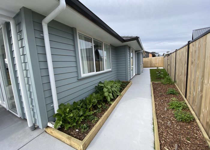 For rent Serenity Drive, Omokoroa, Western Bay Of Plenty, Bay Of