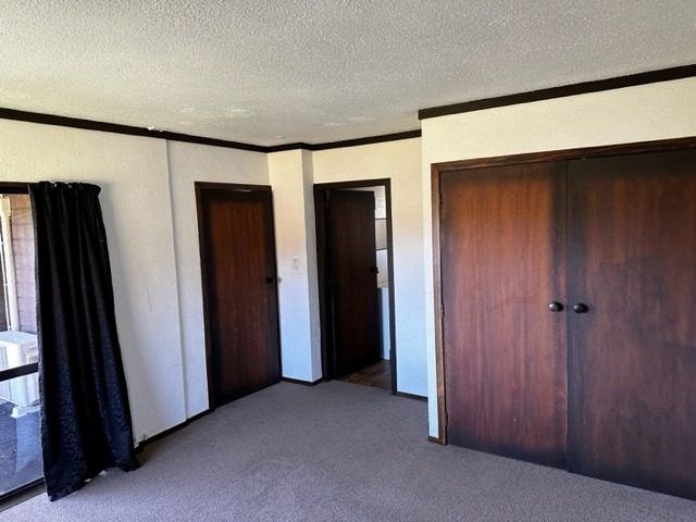  at Maketu, Western Bay Of Plenty, Bay Of Plenty