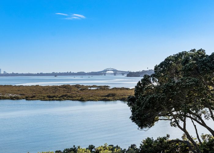  at 15 Lynch Street, Point Chevalier, Auckland City, Auckland