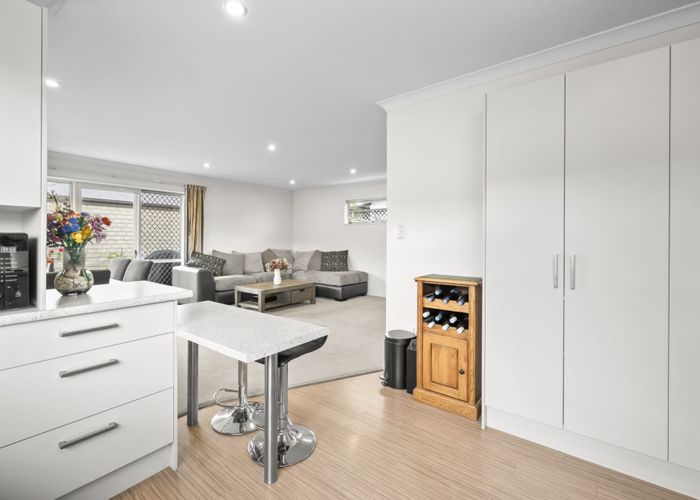  at 166 Barrington Street, Somerfield, Christchurch City, Canterbury