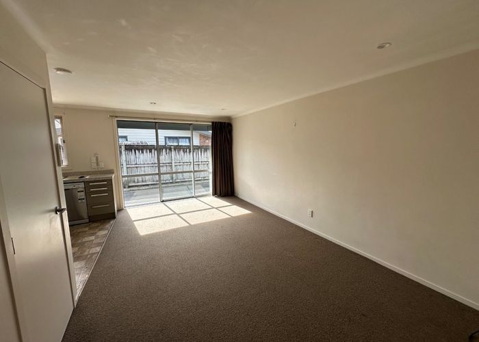  at 20B Lyon Street, Frankton, Hamilton, Waikato