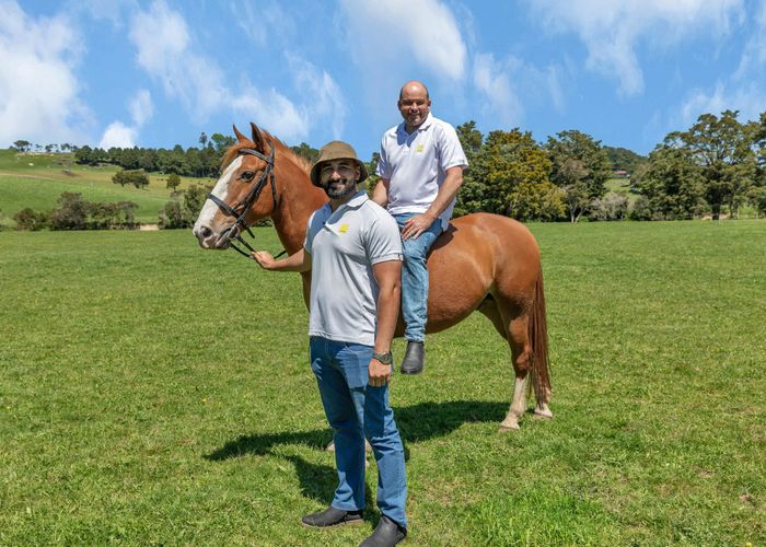  at 80 Lovell Road, Ruatangata, Whangarei, Northland