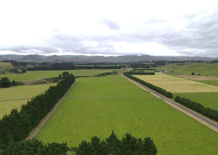  at 49 Gundries Road, Dannevirke, Tararua, Manawatu / Whanganui
