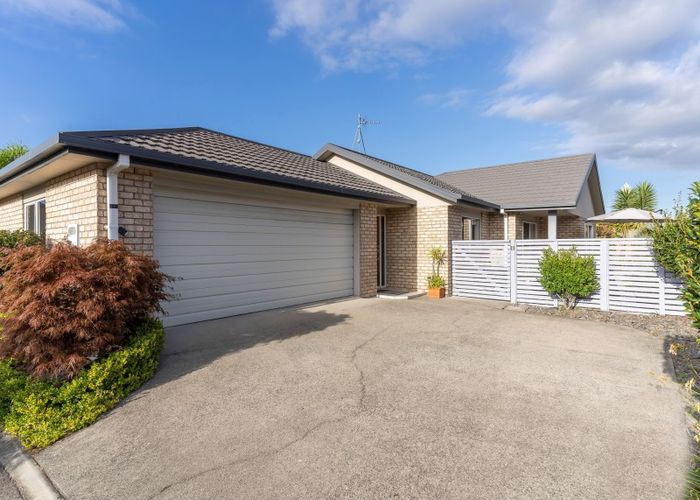  at 19/100 Millers Road, Brookfield, Tauranga