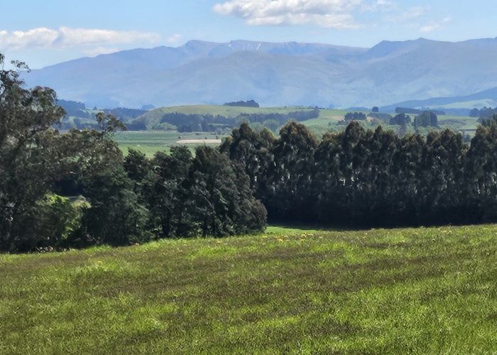  at 116 Burraness Street, Palmerston, Waitaki, Otago