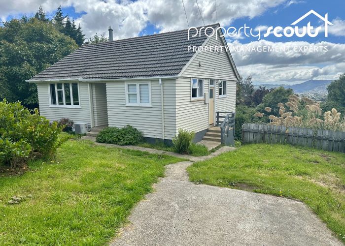  at 29 Cockerell Street, Brockville, Dunedin