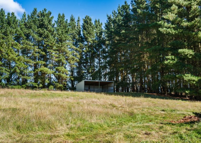  at 329 Bells Road, West Melton, Selwyn, Canterbury