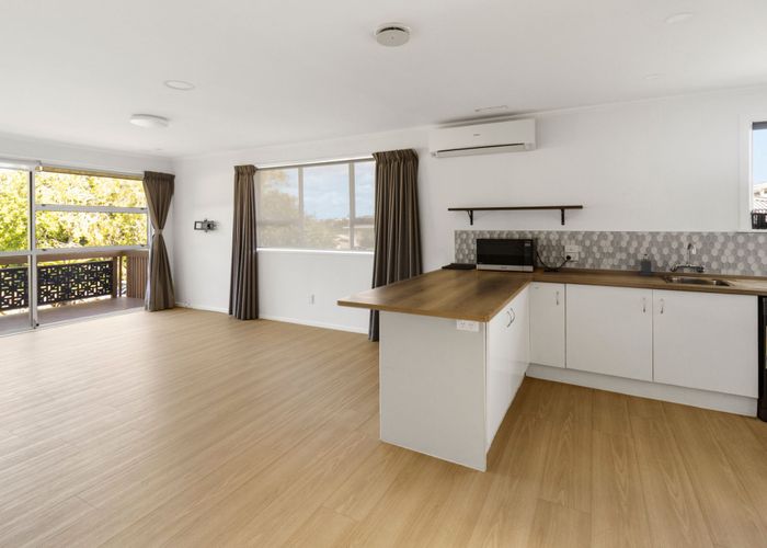  at 217 Halsey Drive, Lynfield, Auckland City, Auckland