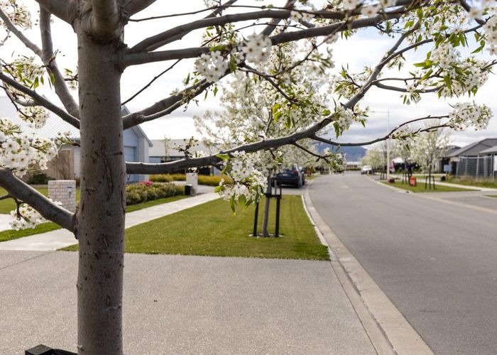  at Lot 117 Bond Street, Springlands, Blenheim, Marlborough