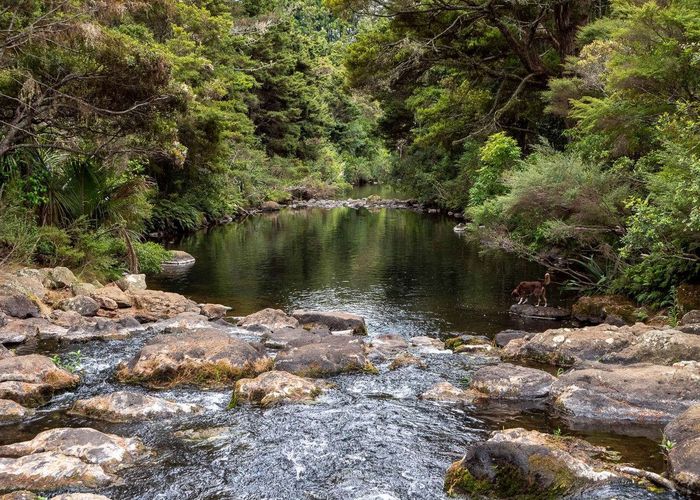  at 301 Puketotara Road, Kerikeri, Far North, Northland