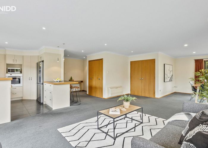  at 227 Forbury Road, Saint Clair, Dunedin, Otago