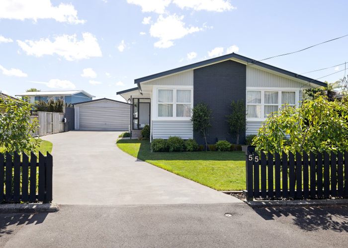  at 55 Mears Road, St Andrews, Hamilton