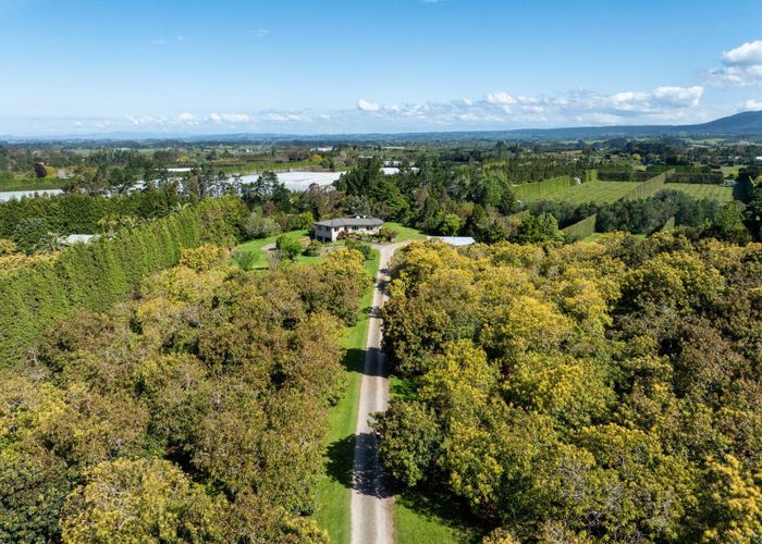  at 85 Wharawhara Road, Tahawai, Katikati