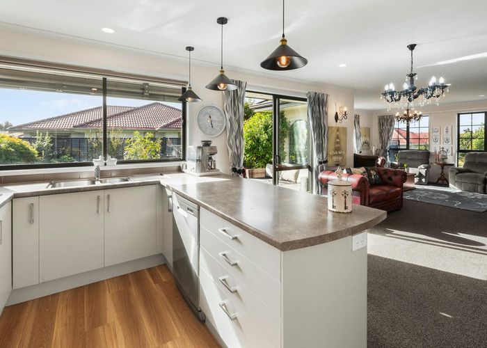  at 16/46 Sharp Road, Katikati, Western Bay Of Plenty, Bay Of Plenty