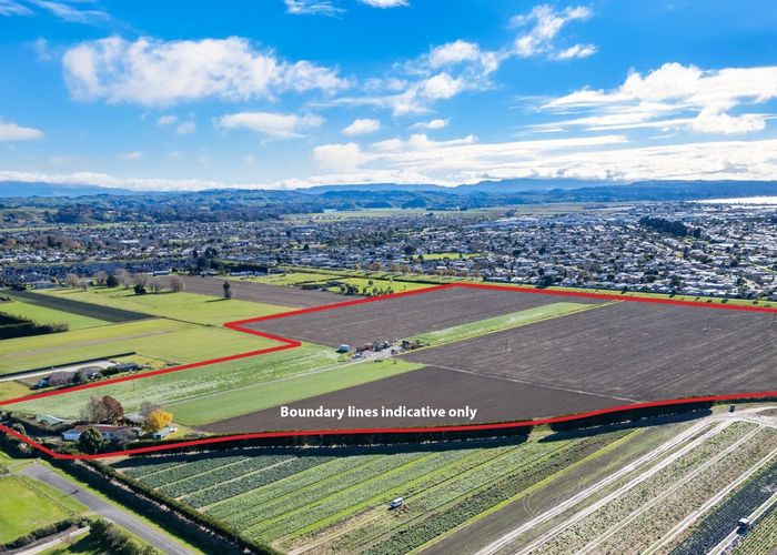  at 139 Waverley Road, Meeanee, Napier, Hawke's Bay
