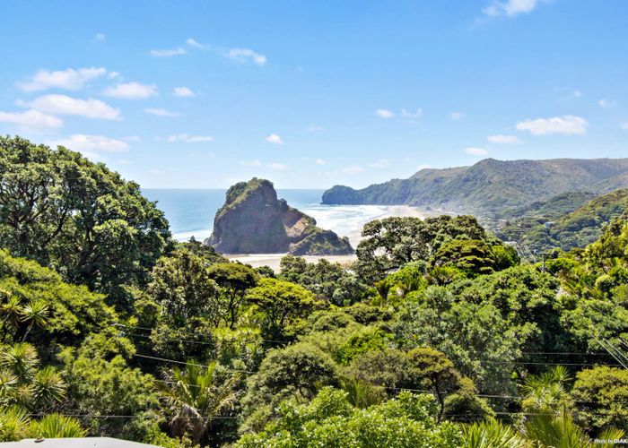  at 74 Rayner Road, Piha