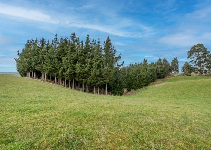  at 22 Paterson Road, Waimumu, Gore, Southland