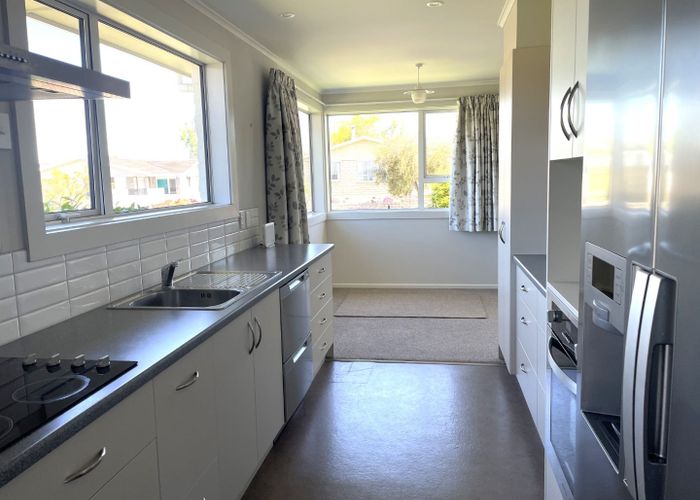  at 19 Pukatea Street, Glenwood, Timaru