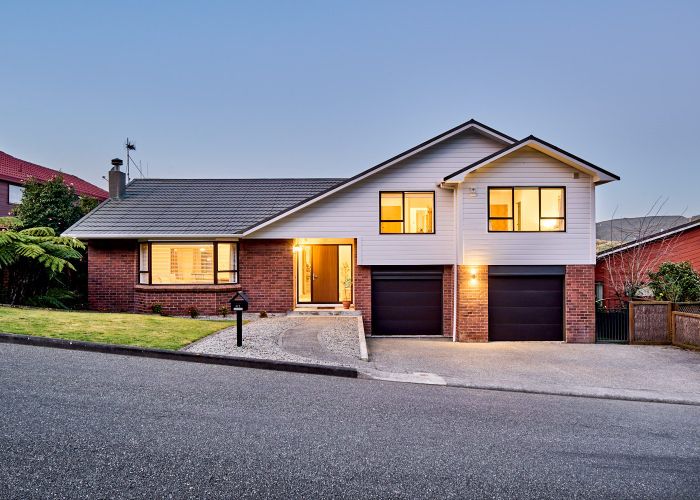  at 41 Peterhouse Street, Tawa, Wellington
