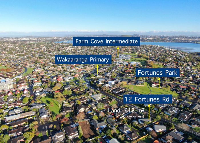  at 12 Fortunes Road, Half Moon Bay, Auckland