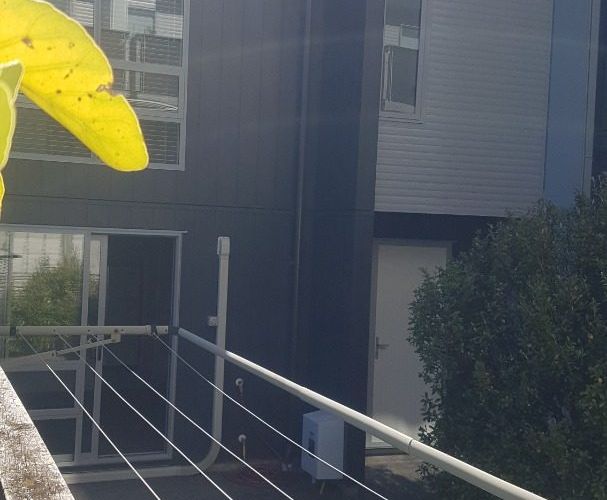  at 7/114 Mitchell St , Brooklyn, Wellington, Wellington