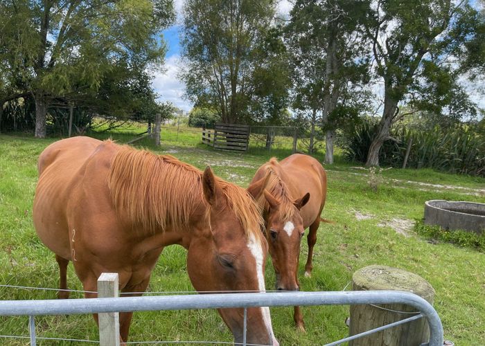  at 44 Follies Way, Dairy Flat, Rodney, Auckland