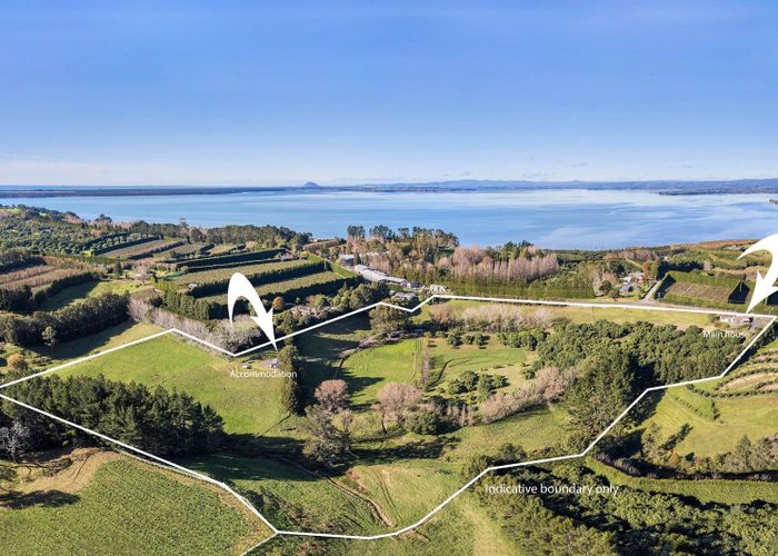  at 3/303 Point Chevalier Road, Point Chevalier, Auckland