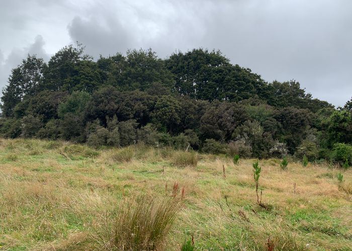  at 436 Harrington Mill Road, TAHAKOPA VALLEY, OWAKA